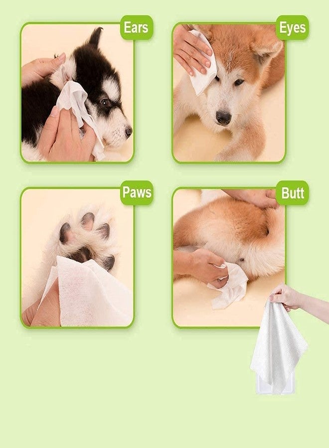 Pets Empire Wet Wipes for Dogs, Cats, Rabbit, Puppies & Small Animals (80Pcs x 2) Anti-Bacterial Cleaning and Daily Care Soft on Pets Skin, Dry Bath, Ear & Paw Daily Cleaning Grooming Wipes (15x20 cm) - Image 5